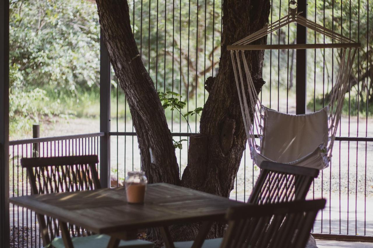 Hello Kruger Hideaway Cottage & Skilpad Studio Marloth Park Exterior foto