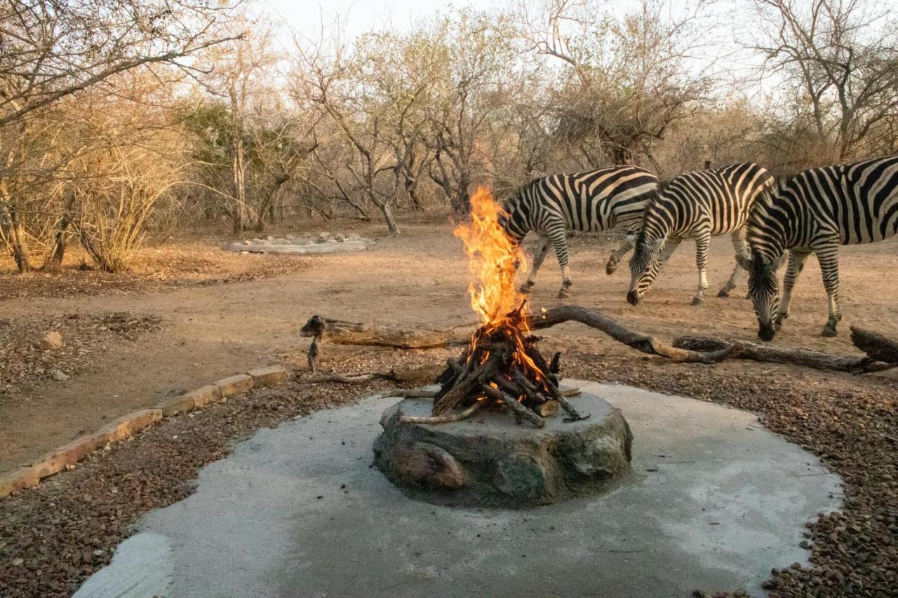 Hello Kruger Hideaway Cottage & Skilpad Studio Marloth Park Exterior foto